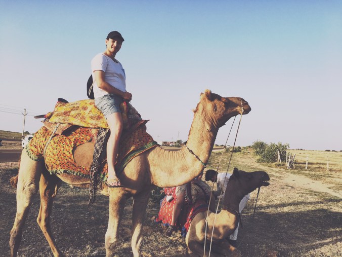 Liebling? Lässt mich dieses Kamel fett aussehen?